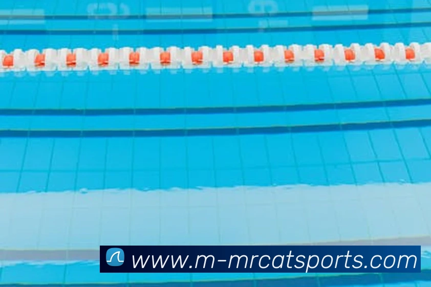 体育下注服务体系