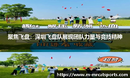 聚焦飞盘：深圳飞盘队展现团队力量与竞技精神