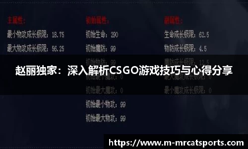 赵丽独家：深入解析CSGO游戏技巧与心得分享