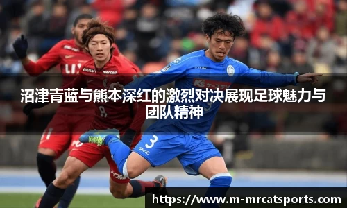 MRCAT猫先生体育官方网站