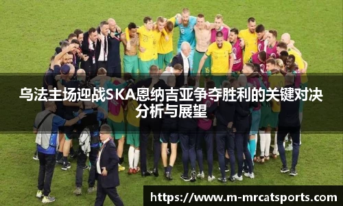 MRCAT猫先生体育平台